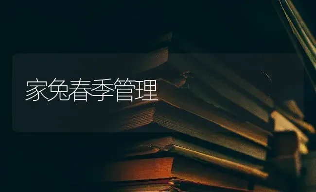 家兔春季管理 | 家畜养殖