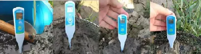 底部“氧债”，小龙虾高温上草的罪魁祸首！一招帮您解决