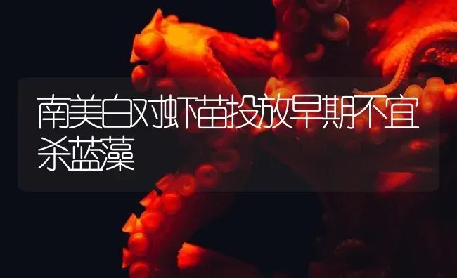 南美白对虾苗投放早期不宜杀蓝藻 | 海水养殖