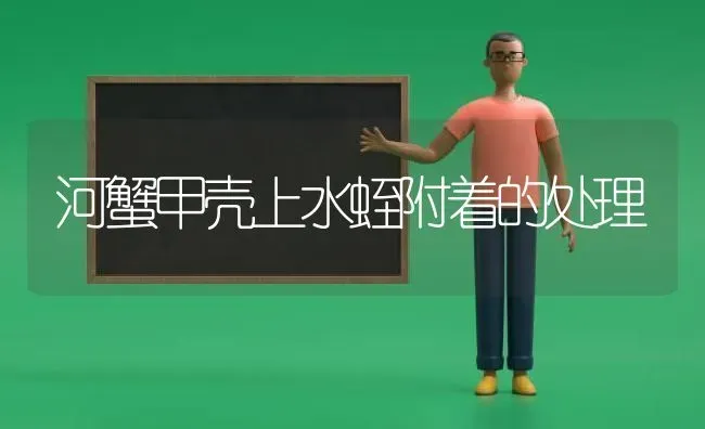 河蟹甲壳上水蛭附着的处理 | 淡水养殖