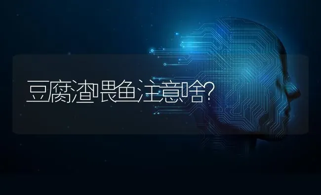 豆腐渣喂鱼注意啥？ | 淡水养殖