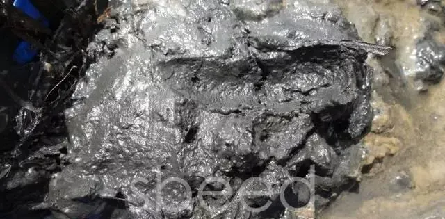 对于池塘底质的一点分析和见解
