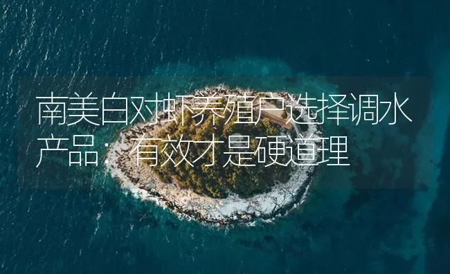 南美白对虾养殖户选择调水产品：有效才是硬道理 | 海水养殖