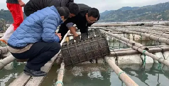 如何让海参顺利的度过化冰危险期？这样管理是个好办法