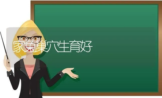 家兔巢穴生育好 | 家畜养殖