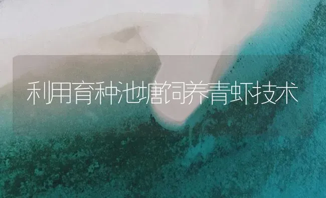 利用育种池塘饲养青虾技术 | 海水养殖
