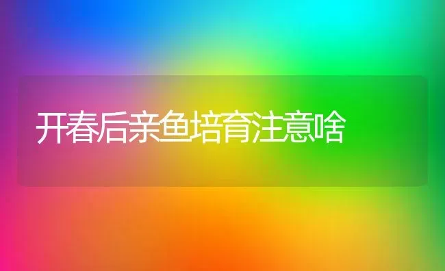 开春后亲鱼培育注意啥 | 淡水养殖