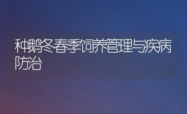 种鹅冬春季饲养管理与疾病防治 | 家禽养殖