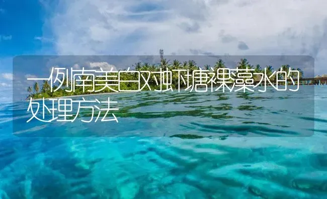 一例南美白对虾塘裸藻水的处理方法 | 海水养殖