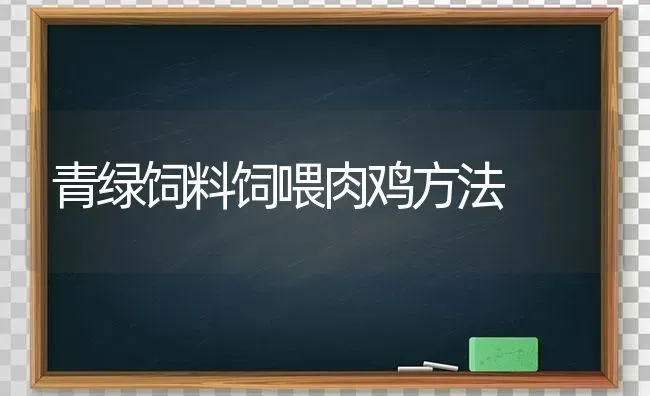 青绿饲料饲喂肉鸡方法 | 家禽养殖