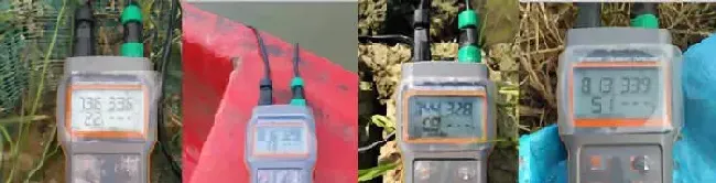 底部“氧债”，小龙虾高温上草的罪魁祸首！一招帮您解决