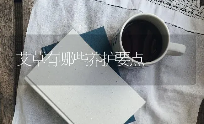 秋季蛋鸡换羽怎么做 | 家禽养殖