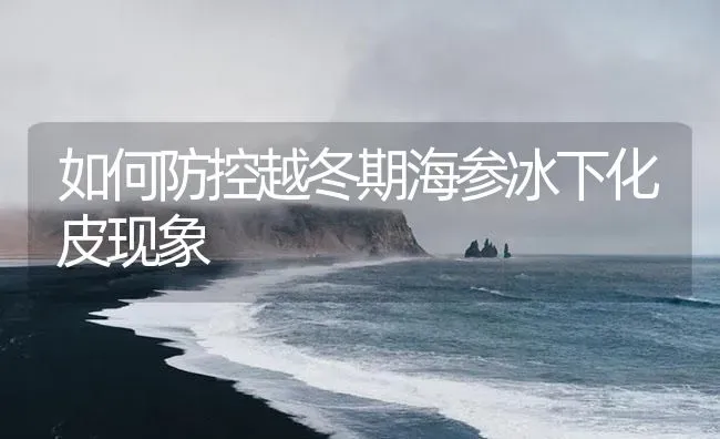 如何防控越冬期海参冰下化皮现象 | 海水养殖