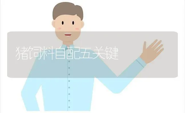 猪饲料自配五关键 | 家畜养殖