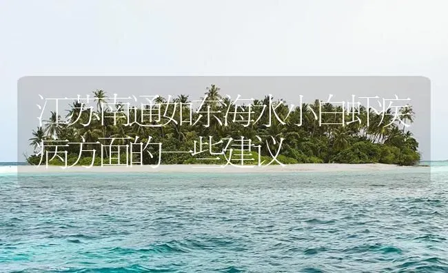 江苏南通如东海水小白虾疾病方面的一些建议 | 养殖病虫害防治