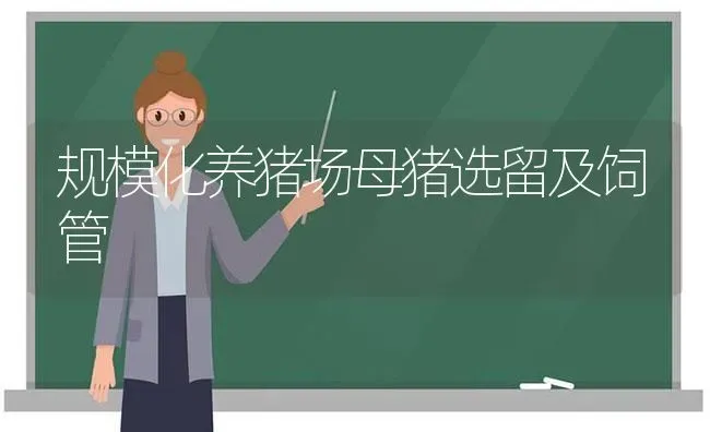规模化养猪场母猪选留及饲管 | 家畜养殖