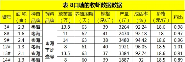 海南对虾养殖牛人如何实现60天40头 料比0.98