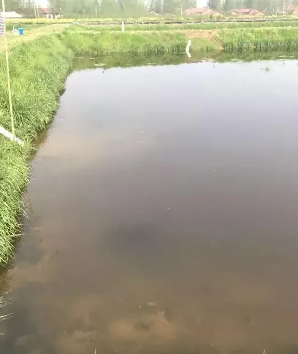 关于稻田小龙虾缺氧上草上岸的问题