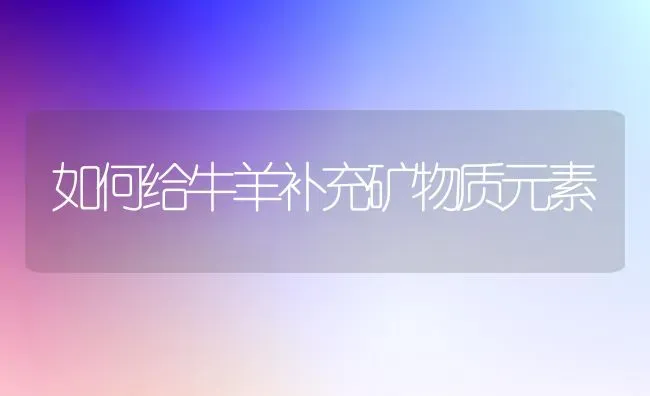 如何给牛羊补充矿物质元素 | 家畜养殖
