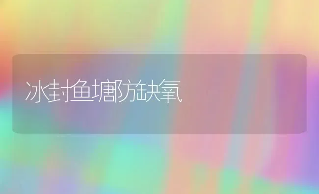 冰封鱼塘防缺氧 | 淡水养殖