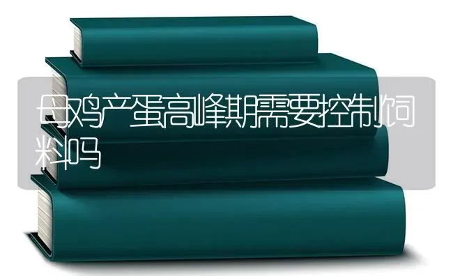 母鸡产蛋高峰期需要控制饲料吗 | 家禽养殖