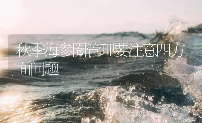 秋季海参圈管理要注意四方面问题 | 海水养殖