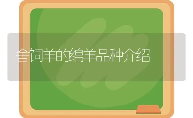 舍饲羊的绵羊品种介绍 | 家畜养殖
