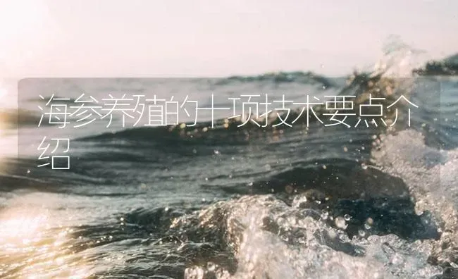 海参养殖的十项技术要点介绍 | 海水养殖