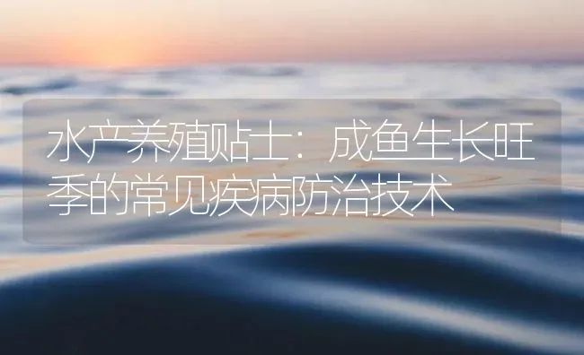 水产养殖贴士：成鱼生长旺季的常见疾病防治技术 | 养殖病虫害防治