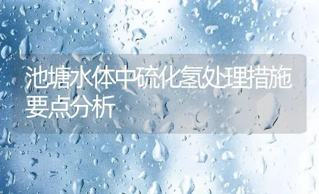 池塘水体中硫化氢处理措施要点分析 | 动物养殖百科