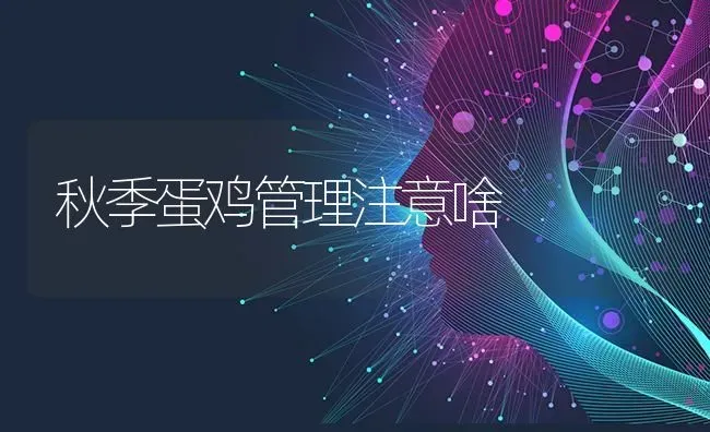 秋季蛋鸡管理注意啥 | 家禽养殖