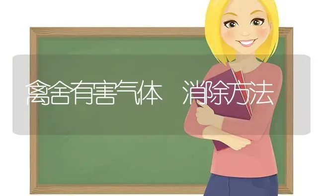 禽舍有害气体 消除方法 | 家禽养殖