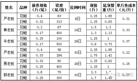 ”金九银十“，花白鲢还能再长多大？