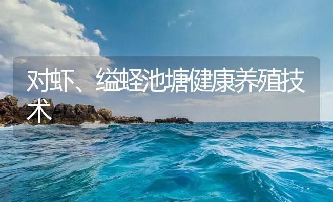 对虾、缢蛏池塘健康养殖技术 | 海水养殖