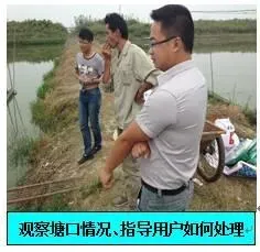 八九月份浙江湖州地区黄颡鱼“烂皮”处理案例