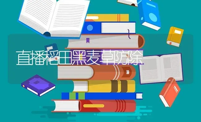 解决养鹅青绿饲料六法 | 家禽养殖