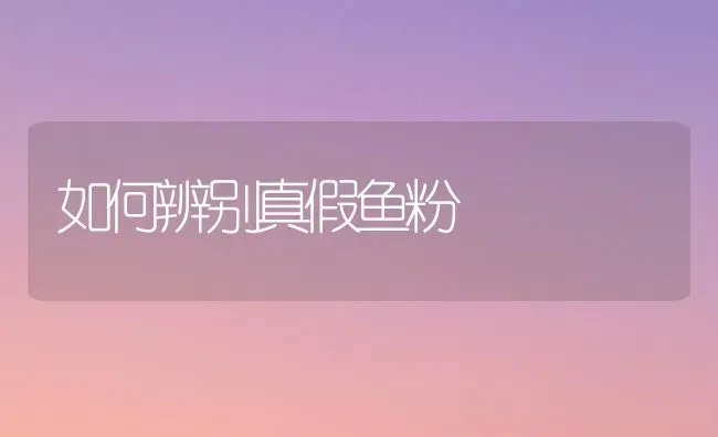 如何辨别真假鱼粉 | 淡水养殖