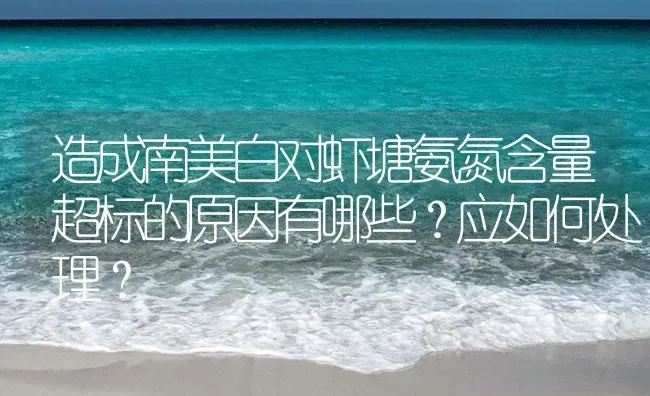 造成南美白对虾塘氨氮含量超标的原因有哪些？应如何处理？ | 海水养殖