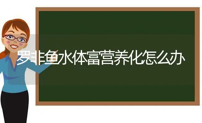 罗非鱼水体富营养化怎么办 | 淡水养殖