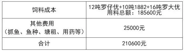 五个月出鱼九成二 让罗非鱼养殖户把钱赚到手