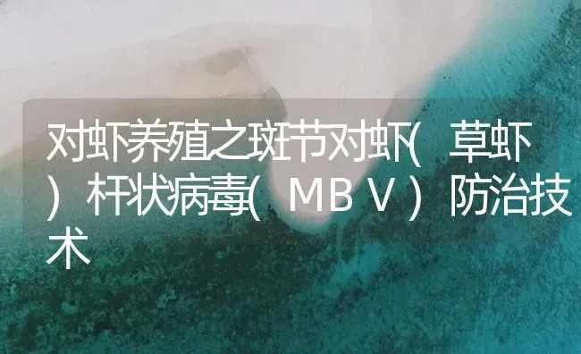 对虾养殖之斑节对虾(草虾)杆状病毒(MBV)防治技术 | 海水养殖