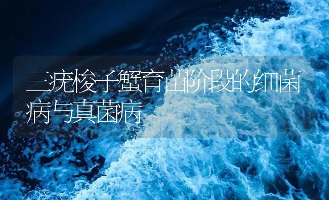 三疣梭子蟹育苗阶段的细菌病与真菌病 | 海水养殖