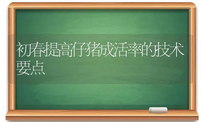 初春提高仔猪成活率的技术要点 | 家畜养殖