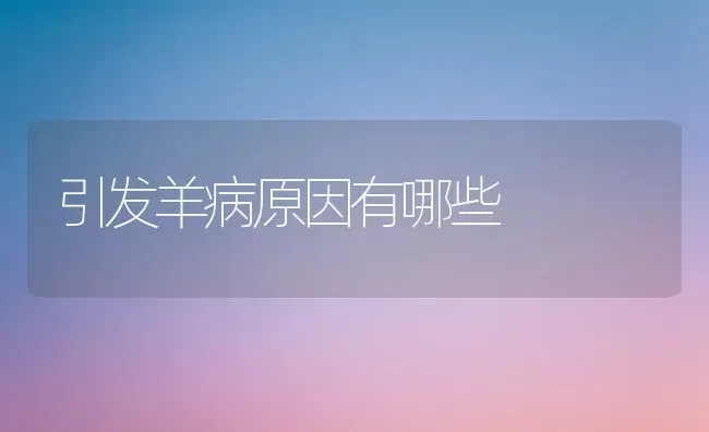 引发羊病原因有哪些 | 家畜养殖