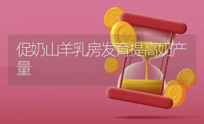 促奶山羊乳房发育提高奶产量 | 家畜养殖