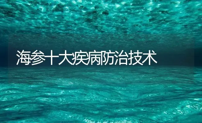 海参十大疾病防治技术 | 养殖病虫害防治