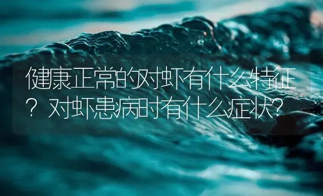 健康正常的对虾有什么特征？对虾患病时有什么症状？ | 海水养殖