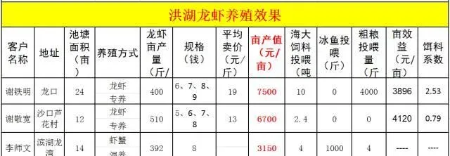 湖北天门海大淡水小龙虾养殖效果展示