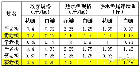 ”金九银十“，花白鲢还能再长多大？