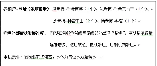 八九月份浙江湖州地区黄颡鱼“烂皮”处理案例